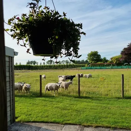 Hemmer Hofstede Feriehus Hem
