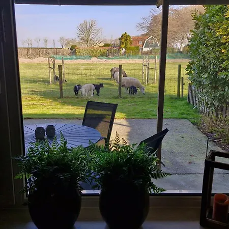 Holiday home Hemmer Hofstede Hem
