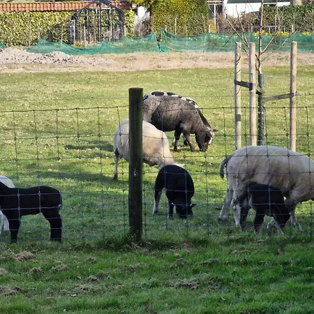 Hemmer Hofstede Hem